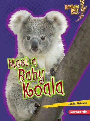 cover image of Meet a Baby Koala